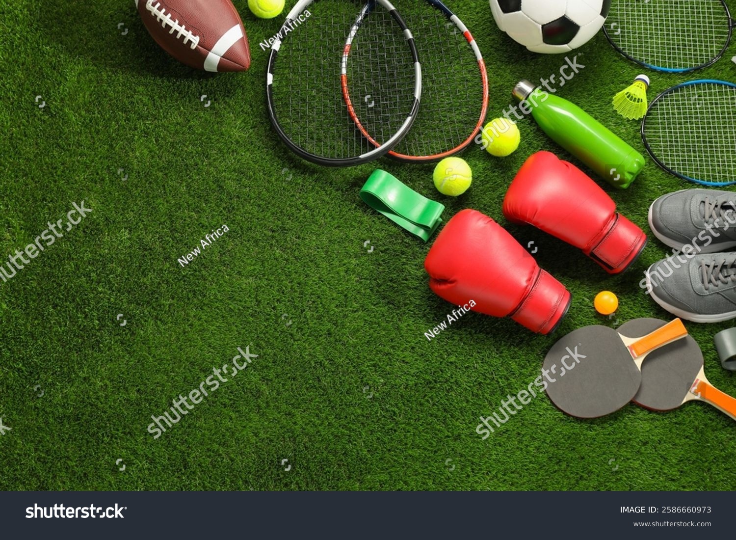 报告显示NS2在英法日均未超NS1纪录 多地销量同比下滑