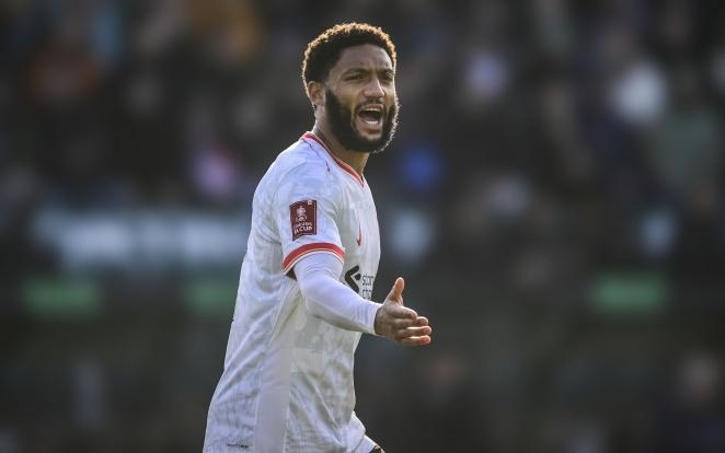 还在决赛中 还在决赛中