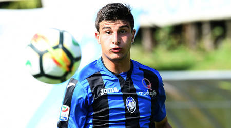 系的适应性 系的适应性