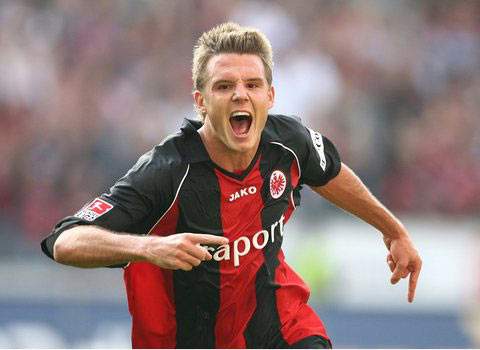 文章提出了 文章提出了