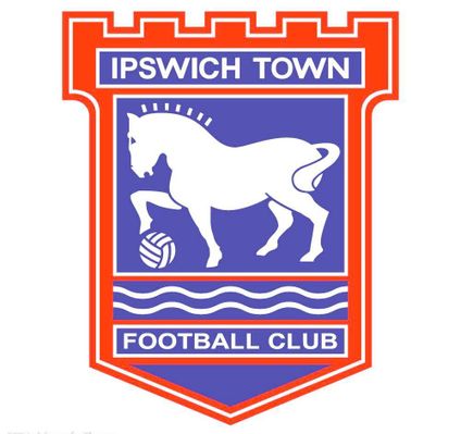 石家庄功夫与河南队展开了一场热身赛，外援并未登场亮相.